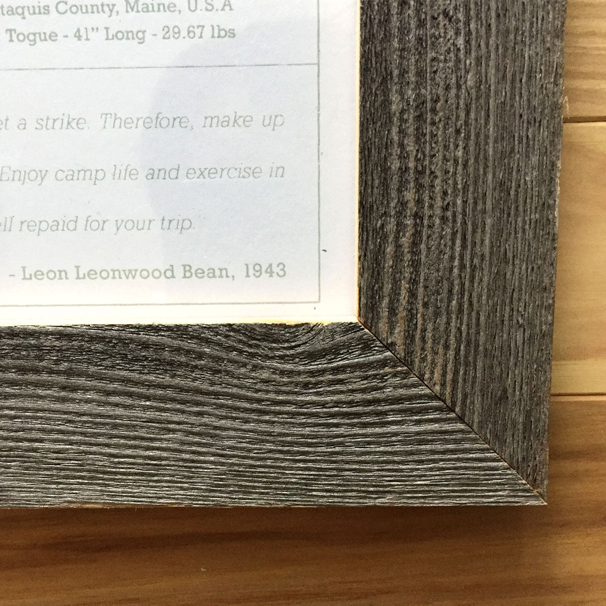 Moosehead Lake FishME Poster